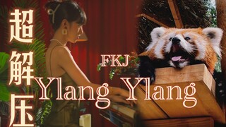 带你感受来自大自然的感官盛宴，超解压神曲FKJ《Ylang Ylang》【杜比视界】