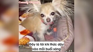 Tôi vào mỗi buổi sáng