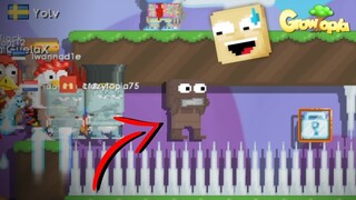 TROLLING HACKERS (UNEXPECTED HAPPENED) || Growtopia