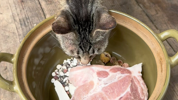 Pork for dinner today