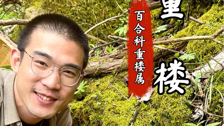 So it turns out longing is unsolvable.