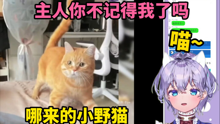 日本萌妹看《人里人气的喵星人》后 血脉觉醒当场化身猫娘