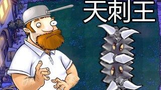 新植物：天刺王！