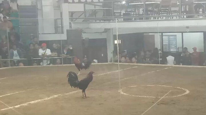 Paldo ang laki ng parada ng kalaban🤑🤑  win