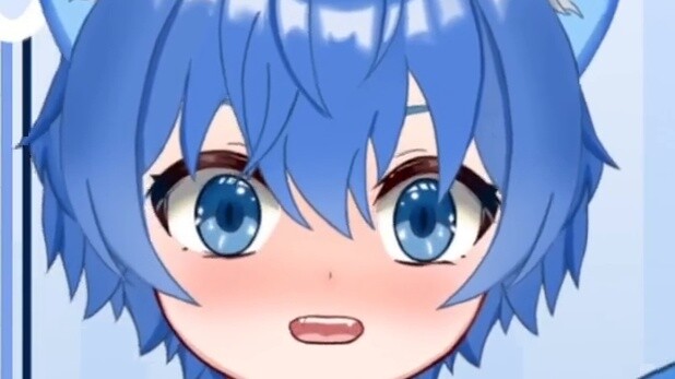 Mengapa tidak cocok mencari kucing Shandong?