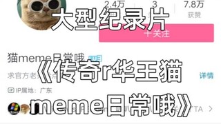大型纪录片《传奇汉奸猫meme日常哦》持续为您播出