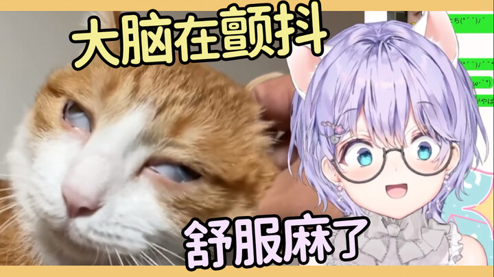 In the future, massaging cats will be so hilarious it’ll leave you giggling uncontrollably.