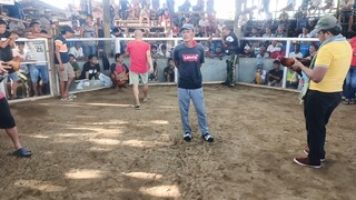 boston Otk line  win   NLGBA ELIMS