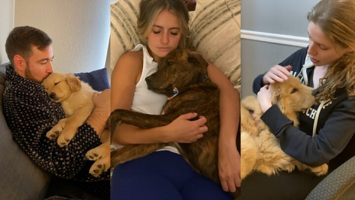 Have you gone too long without cuddling your dog like this? “Healing vibes”