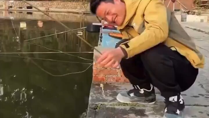 What fish food should I buy?