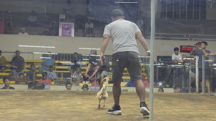 Melsims Black (Lose) 2 Hits Ulutan (Feb. 28, 2026)