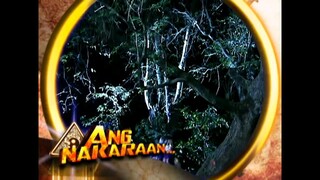 Asian Treasures-Full Episode 70 (Stream Together)