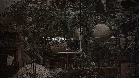 tàn cảnh