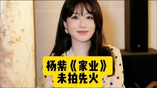 杨紫《家业》未拍先火，再次登顶待播榜首，杨紫李祯值得期待！