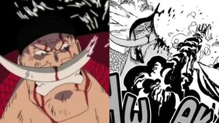 One Piece! Animation VS comics! The animation is really much more relaxed~ The international friendl