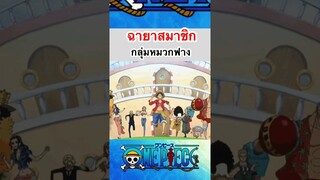 วันพีช:ฉายาสมาชิกกลุ่มหมวกฟาง #shorts #roblox #tiktok #วันพีช #onepiece #bloxfruits #fypシ