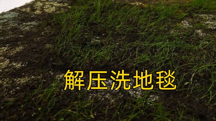 相当炸裂的草皮地毯没见过吧！