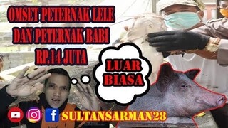 PENDAPATAN BABI DAN IKAN LELE 14JUTA