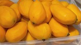 [อาหาร]สาคูไส้ครีมมะม่วงแช่อิ่มส้มโอ
