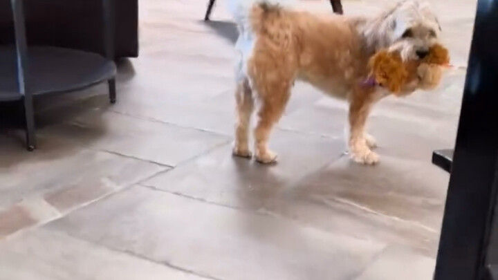 Work is just one part of life.