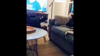 มีคนเถียง