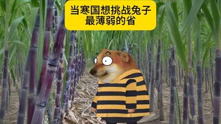 我就是一个砍甘蔗的