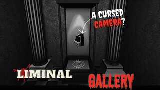 Liminal Gallery - Would You Dare To Use A Camera That Can Make Pictures Real!?