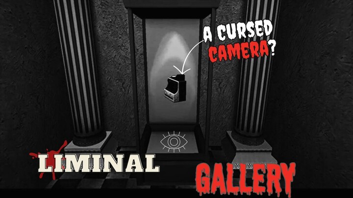 Liminal Gallery - Would You Dare To Use A Camera That Can Make Pictures Real!?