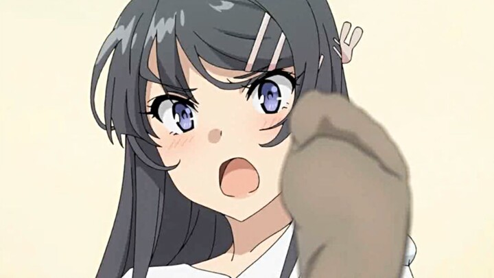 [AMV] A mashup video of Sakurajima Mai