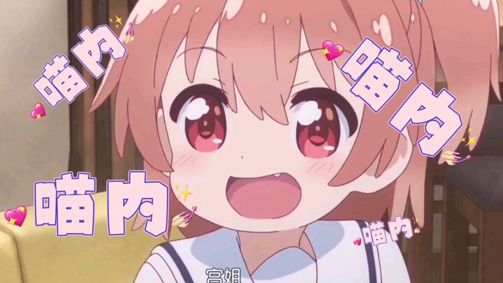 ～喵内～喵内～～