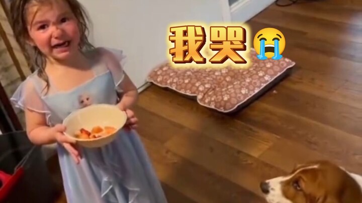 Em bé đáng yêu bị chó bắt nạt,……