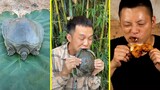 Cuộc Sống Và Những Món Ăn Rừng Núi Trung Quốc - Tik Tok Trung Quốc | Sang Channel #99