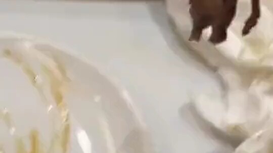 Jangan terlalu terkejut, kemampuanku jauh lebih hebat dari ini...