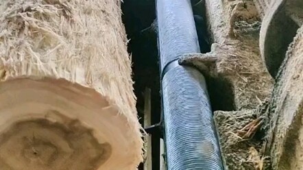 Định Hải Thâm Quyến đã biến thành Kim Trượng?