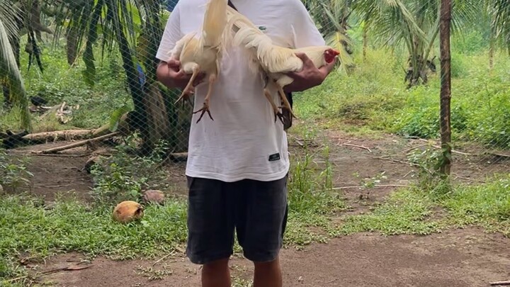 Unang sayaw. Mula napisa  hehe 🐣
