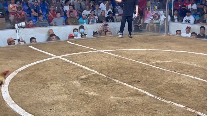 super bulik ni Budget, Aguilar Papa striker.