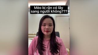 Bạn đã bị rận mèo cắn bao giờ chưaaaa 🥲🥲🥲 mèocute LearnOnTikTok tiktok meow meomeo cat mèo