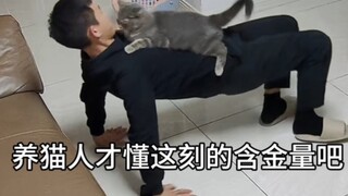Only cat owners can understand the value of this moment!