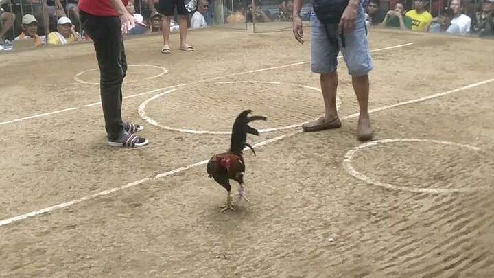 sayang panalo na natalo pa.