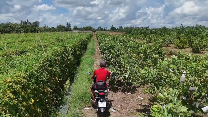 WINNER R ĐI RUỘNG PART 2: CÀY SÌNH LẦY ĐỈNH ĐIỂM – LIỆU CÓ CỨU ĐƯỢC XE? 🏍️🌾🌧️
