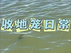 今天收地笼鱼货爆满了，锦鲤甲鱼多的装不下了！！#我的乡村生活 #农村生活 #户外 #这才是该有的农村生活 #沉浸式感受干农活