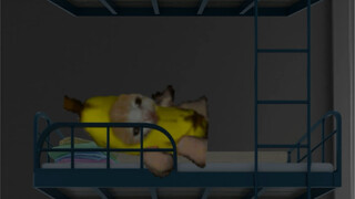 香蕉猫的不眠之夜