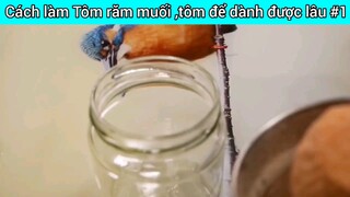 Cách làm Tô. răm muối, tôm để dành được lâu #1