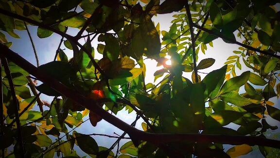 Jesus is coming soon!"