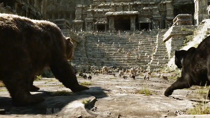 To help the black bear gather enough honey, he casually picked up two stones from the forest.