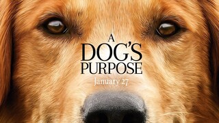 A Dog's Purpose (2017) Subtitle Indonesia