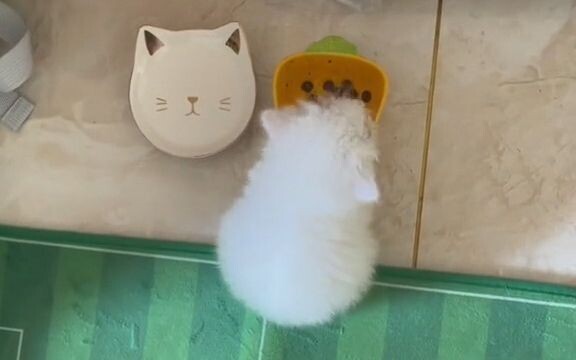 I Was Reborn as Gousheng—Ruthlessly Abandoned, Then Picked Up by a Chatty Old Lady. Today, I’m Takin