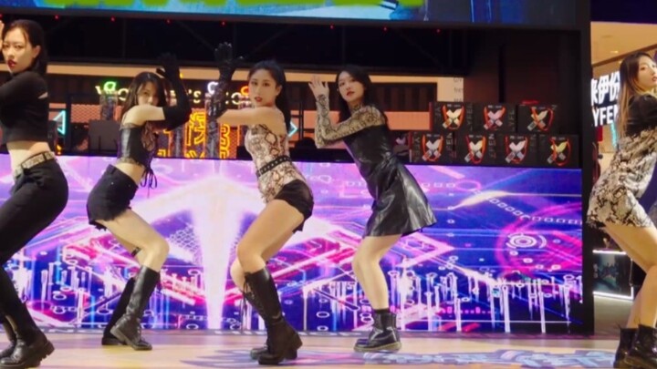【GirlsPlant999】Snake also has a road show? The first SNAKE road show in China | Hangzhou Road Show R