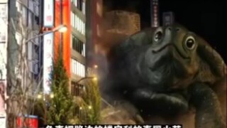 爱与和平《超级乌龟》下