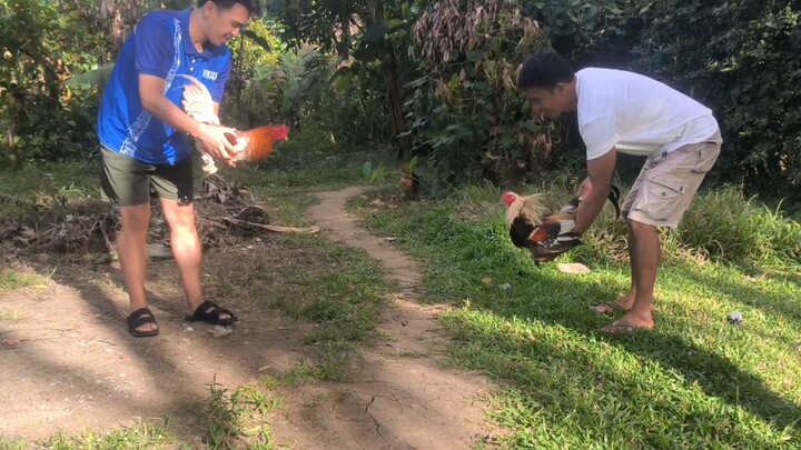 Unang spar ng white choco 11 months vs 1 time winner grey.